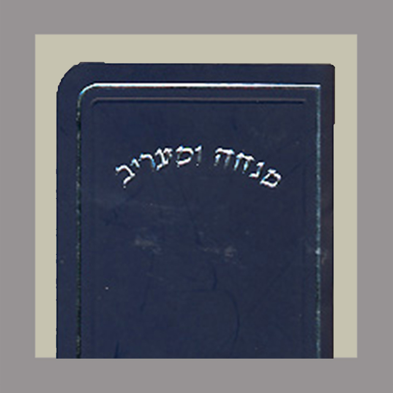 Mini Sized Mincha-Ma'ariv