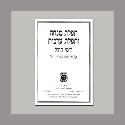 Mincha Maariv Liyimei Hachol