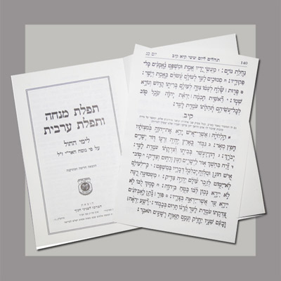 Mincha Maariv w Tehillim