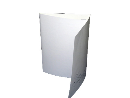 Wedding Invitation Sample
